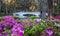 Romantic Southern Garden of Azaleas Charleston SC