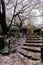 Romantic stair, Sakura, cherry blossom, Japan in April