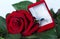 Romantic still life. Beautiful large red rose flower and box with engagement ring with dark blue topaz gemstone.