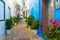 Romantic street, pots of plants and flowers in white medina of Asilah, Morocco