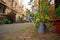 Romantic street view, full of flowers and greenery