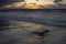 Romantic sunset on the beach with wood on the sand