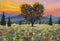 romantic sunset over a poppy meadow illustration modern artwork