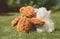 Romantic teddy bears. A couple in love on a date in the summer garden