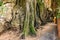 Romantic Trail to Railay beach through the caves on Railay Beach. Krabi, Thailand