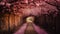 The romantic tunnel of pink flower trees. Generative AI