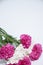 Romantic vertical floral banner. White beautiful chrysanthemums and pink carnation