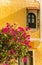 Romantic vintage arabic window and bougainvillea flowers