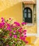 Romantic vintage arabic window and bougainvillea flowers