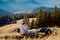 Romantic wedding couple sitting on the field. Beautiful landscape of Alpine mountains