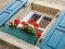 Romantic window with flowers and wooden shutters