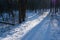 Romantic winter forest sundawn, sun flare on narrow countryside dirt road with snow, long shadows of bare trees, footprints