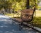 Romantic wooden bench with metal openwork armrests on shady alley in city park.