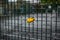 A romantic yellow love lock on a fence in London