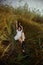 Romantic young woman in thick tall grass in field. Dreamy gentle woman in a white dress in nature. Natural beauty, enjoyment of