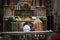 Rome - 7 September 2017 - celebration of the Holy Mass vetus ordo, Mass in Latin, in the days of the pilgrimage