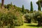 Rome 8 March 2020. The Vatican gardens of the papal residence, well-kept fountains and trees.