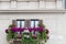 Rome Balcony in Piazza Navona