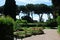 Rome city Palatino hill red rose garden