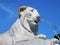 Rome - Detail of the Fountain of the Lions