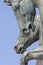 Rome, Italy - 2 June 2012: Close up of the horses that towed the