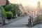 Rome, Italy. Cordonata Capitolina, egyptian lions fountain and Dioscuri statue. Rome landmark