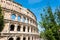 ROME, Italy: Great Roman Colosseum Coliseum, Colosseo also known as the Flavian Amphitheatre, with Green Trees. Famous world lan