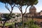 ROME, Italy: Scenic View of Ancient Roman Forum, Foro Romano, and St Joseph Church