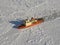 Rompehielos argentino Almirante Irizar embestir a travÃ©s del hielo de la manada en el Mar AntÃ¡ctico de Weddell