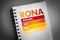 RONA - Return On Net Assets acronym