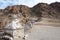 Rongtil La Pass 3790m view from Between Hemis Shukpachan and Tingmosgang Temisgam in Sham Valley, Ladakh, India