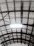 Roof of an abandoned shed, Monte Alto, Rio de Janeiro.