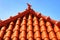 Roof in Azenhas do Mar house with ceramic pigeon on top