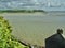 Roof of the boathouse and estuary view