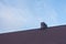 Roof with ceramic tile chimney against blue sky