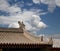 Roof decorations on the territory Giant Wild Goose Pagoda--Xian (Sian, Xi\'an)