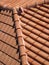 Roof detail