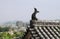 Roof Detail on Himeji Castle