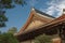 Roof Detail of a Japanese Buddhist Temple