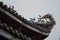 Roof details of the Buddhist Dalongdong Baoan Temple in Taipei, Taiwan