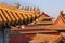 Roof Figurines Yellow Roofs Forbidden City Beijing