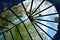 Roof in the form of glass stained glass, dirty old stained glass with leaves