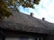 The roof of the house with old tiles. A stone building with burnt clay tiles. Sunny day in the autumn. High platanus with yellowed