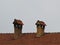 The roof of the house with tiles and two chimneys of the house made of bricks