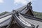 Roof of Japanese Buddhism Temple