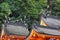 The roof of Kumano Hayatama Taisha shrine. Shingu. Wakayama. Japan