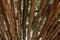 A roof made of wooden branches