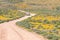 Roof of Namaqualand trail