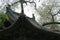 roof of a pavilion at the jinci monastery in taiyuan (china)