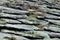 Roof slate detail with moss